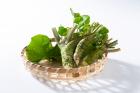 Wasabi salts Set